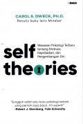 Self Theories